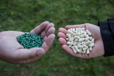 Figure 2: To the left is green CEBICO pellets, standard for conventional plastic manufacturing processes. To the right is TMP pellets used as raw material for manufacturing of CEBICO.